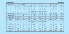 Hebei Longsheng Y Strainer