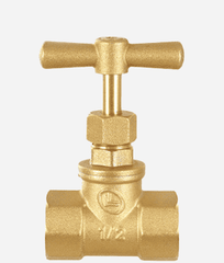 A gold-colored brass stop valve with a lever handle and a female X female connection type.