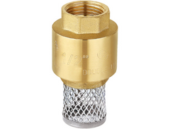 A brass and stainless steel double check valve fitting with a 1/2 inch thread, shown on a plain white background.