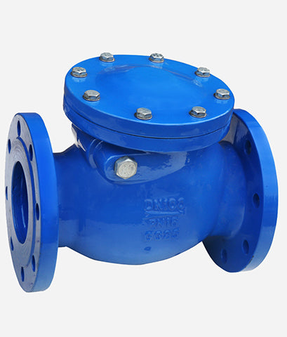 Hebei Longsheng Check Valve (Swing)