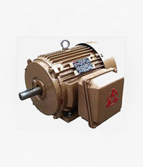 Nanyang YW Explosion Proof Electric Motor