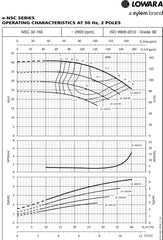 Loware e-NSC Surface Flanged Pump