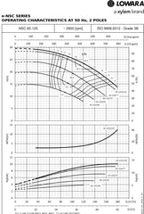 Loware e-NSC Surface Flanged Pump