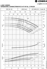 Loware e-NSC Surface Flanged Pump
