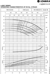 Loware e-NSC Surface Flanged Pump